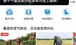 97av免费视频,热门内容一览